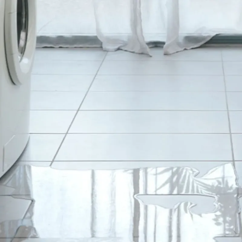 Appliance Leak Cleanup in Greene County, VA