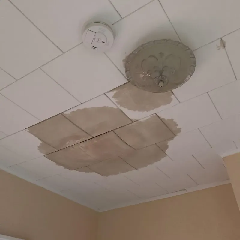 Ceiling Water Damage Repair in Greene County, VA