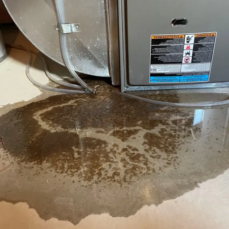Pipe Burst and Leak Restoration in Greene County, VA